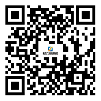 河南中原科技产业服务有限公司2026年招聘程序