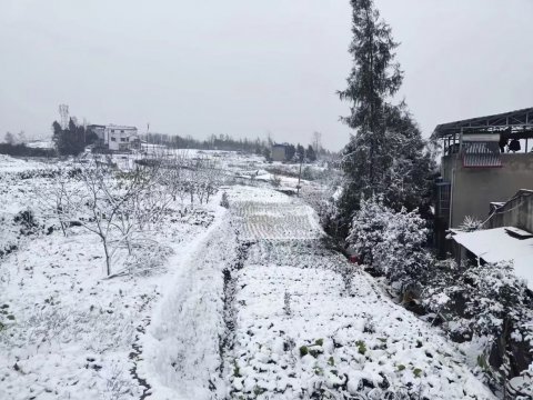 2026重庆云阳下雪了吗？（最新消息）