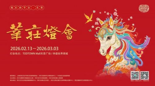 2026年上海莘庄灯会时间+地点+打卡点推荐